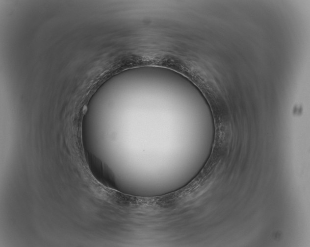 X0000097001249200802151407