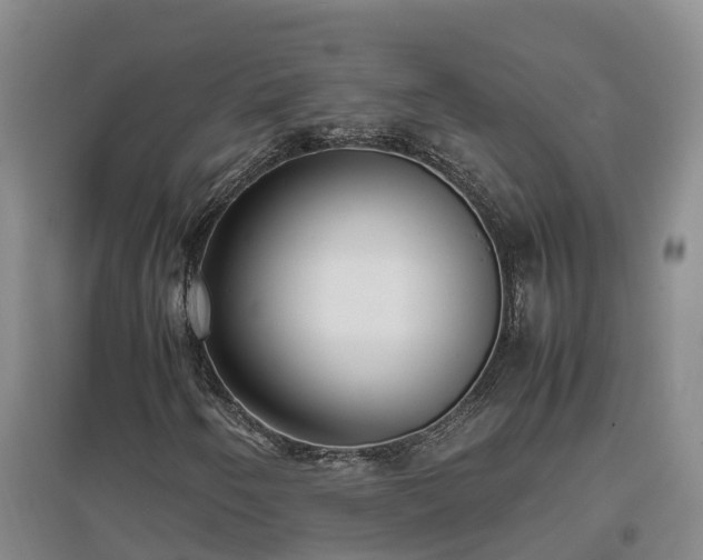 X0000097001250200802151407