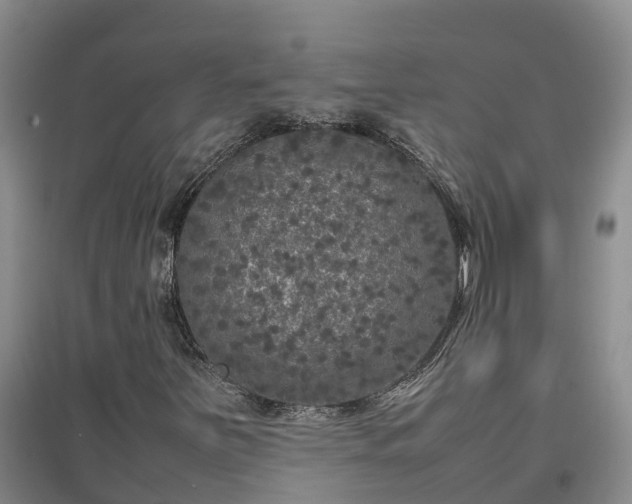 X0000097001251200802151407