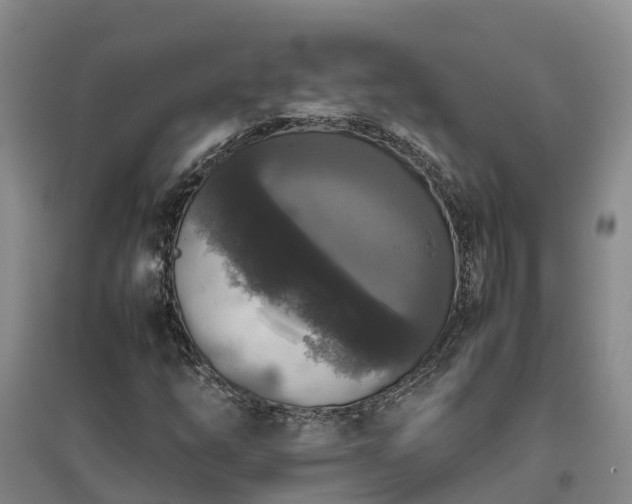 X0000097001254200802151407