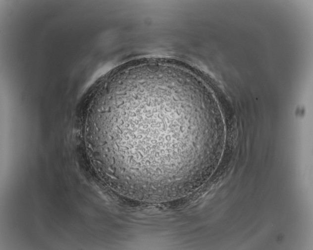 X0000097001255200802151407