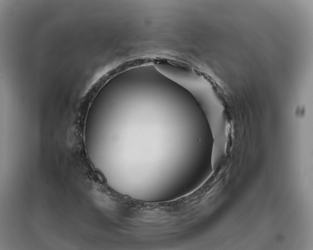 X0000097001256200802151407