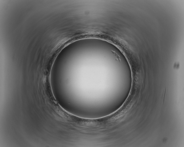 X0000097001257200802151407
