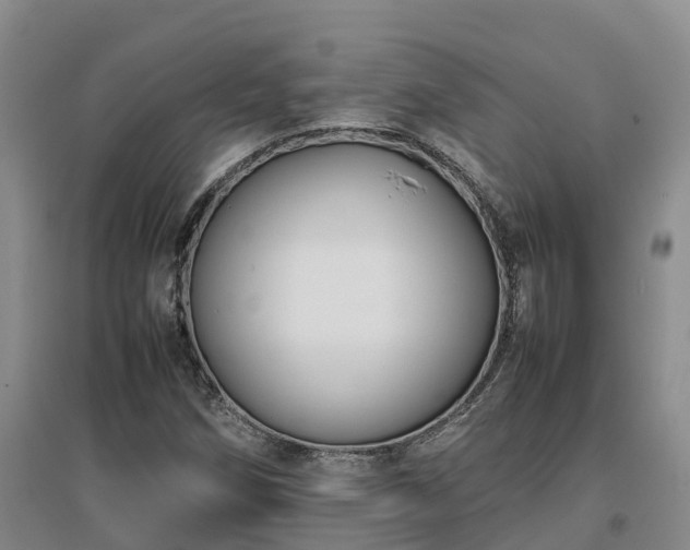 X0000097001258200802151406