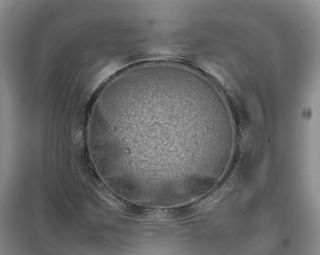 X0000097001259200802151406