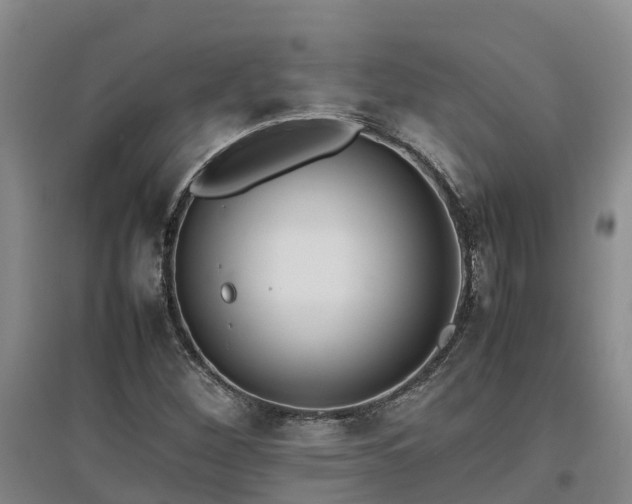 X0000097001260200802151406