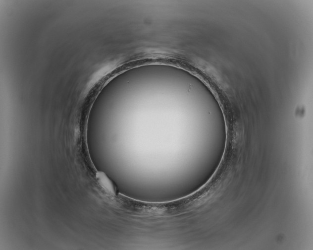 X0000097001261200802151406