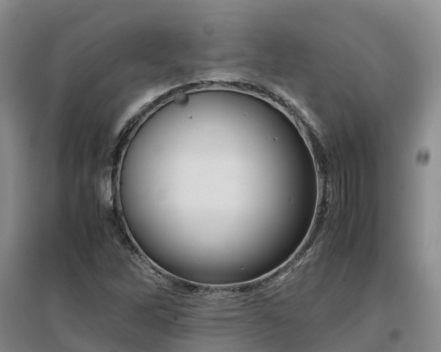 X0000097001262200802151406