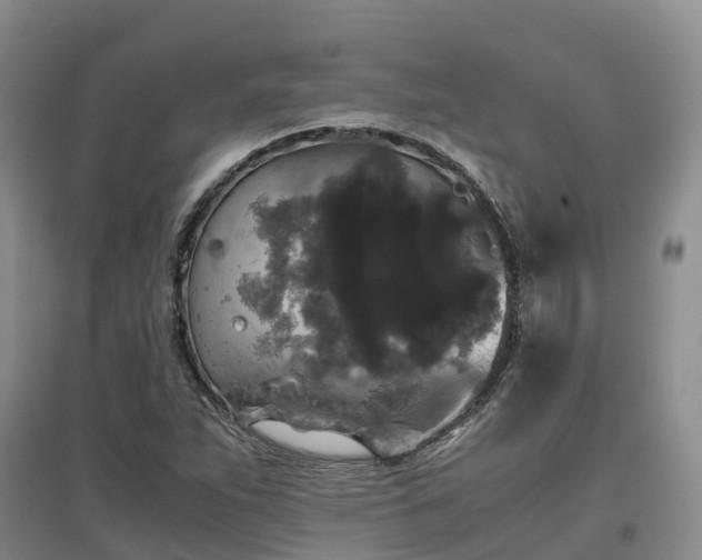 X0000097001263200802151406
