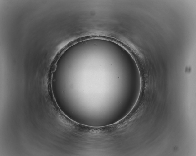 X0000097001264200802151406