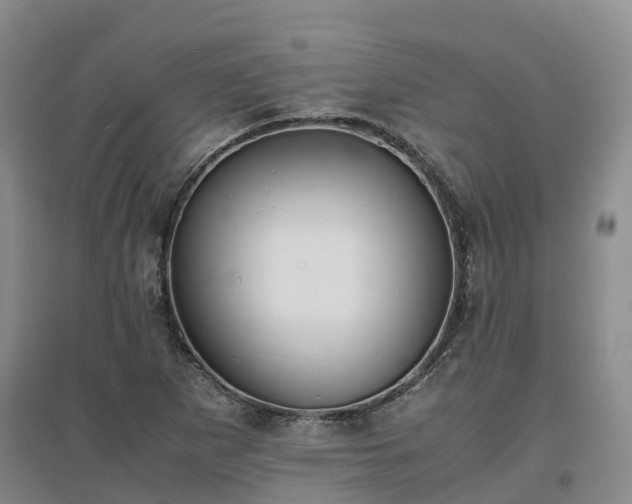 X0000097001265200802151406