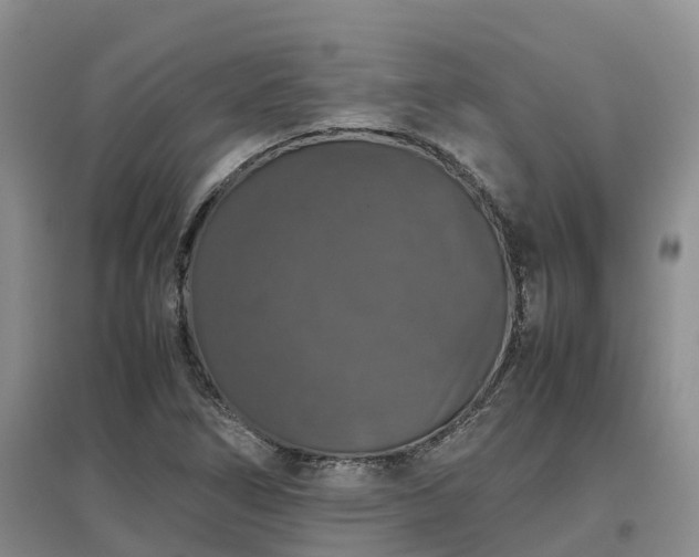X0000097001266200802151406