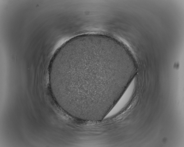 X0000097001267200802151406
