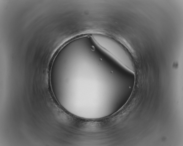 X0000097001268200802151406