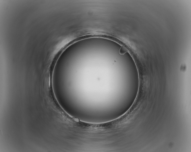 X0000097001269200802151406