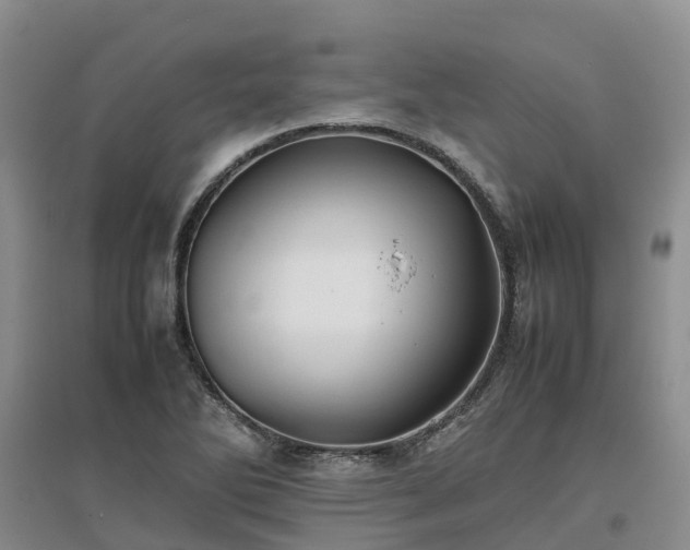 X0000097001270200802151406