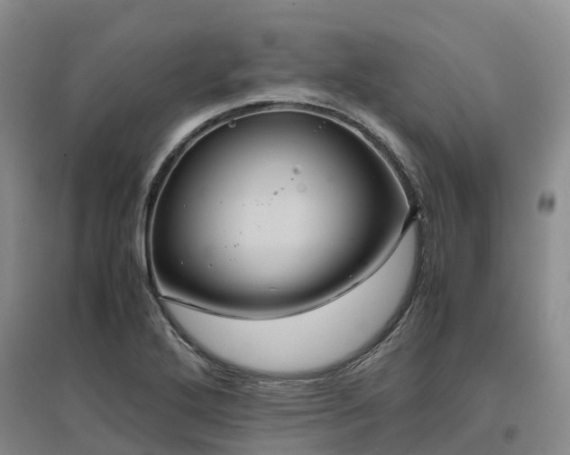 X0000097001272200802151406