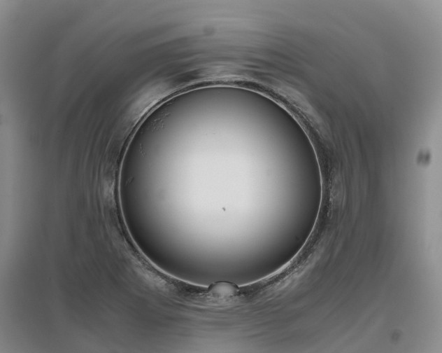 X0000097001273200802151406