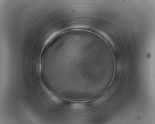 X0000097001274200802151406