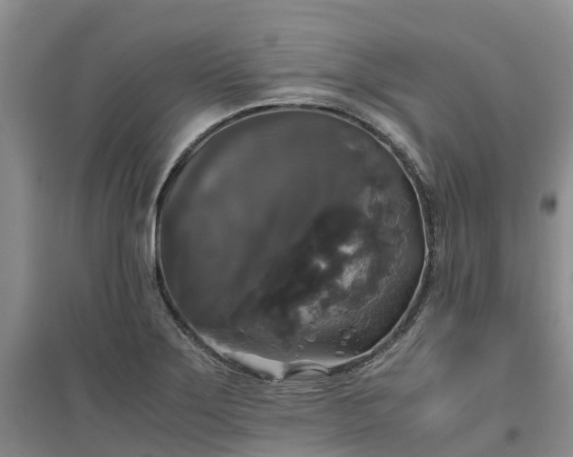X0000097001275200802151406