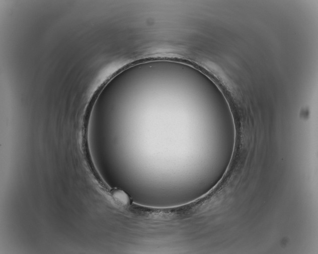 X0000097001277200802151406