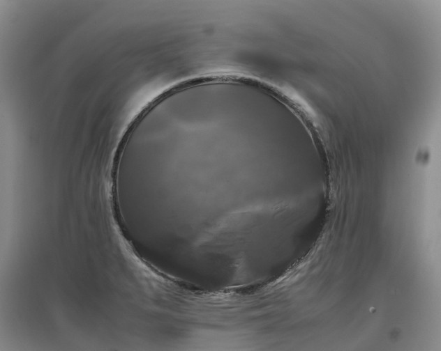 X0000097001279200802151406