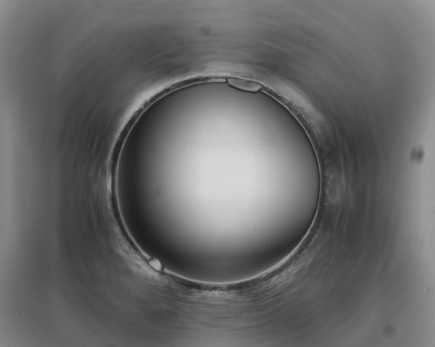 X0000097001280200802151406