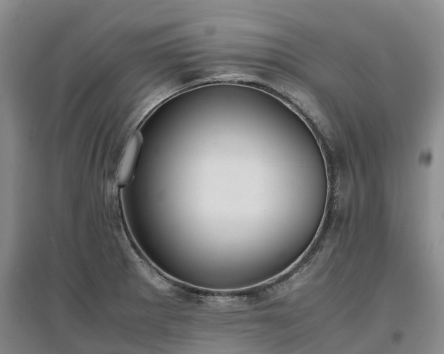 X0000097001281200802151406