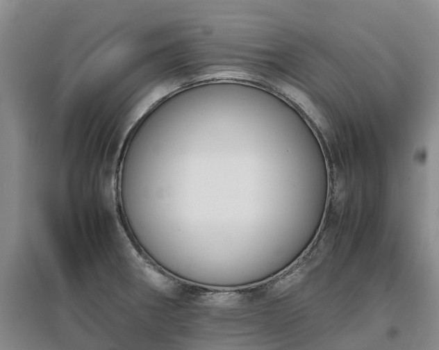 X0000097001282200802151406