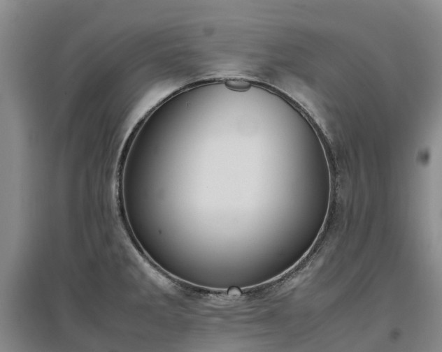 X0000097001285200802151406