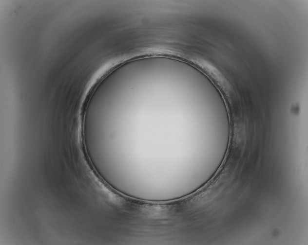 X0000097001286200802151406