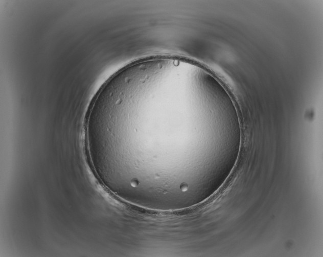 X0000097001287200802151406