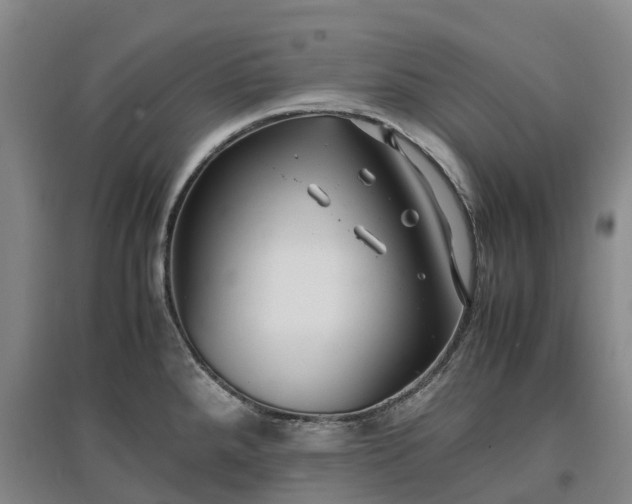 X0000097001288200802151406