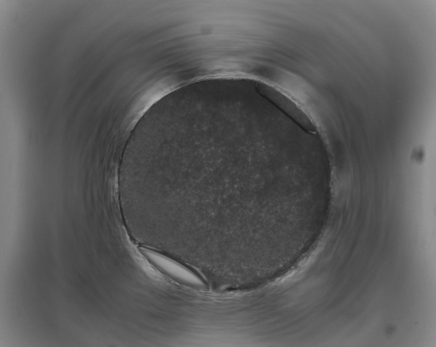 X0000097001289200802151406