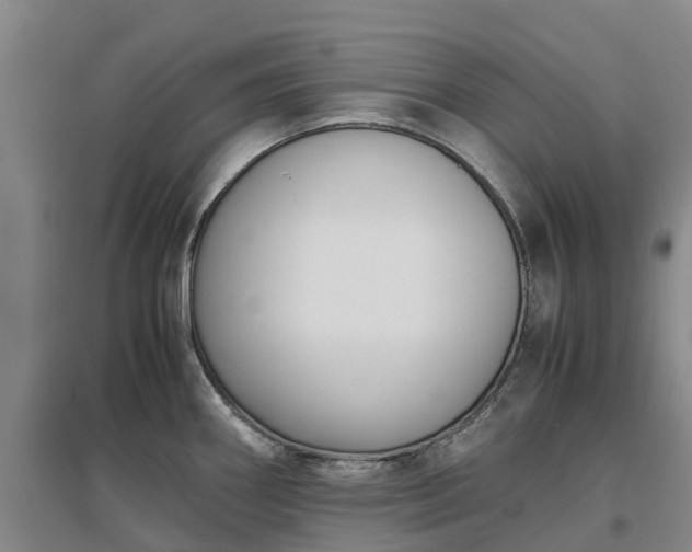 X0000097001290200802151406