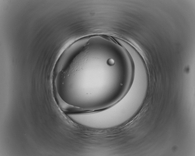 X0000097001291200802151406