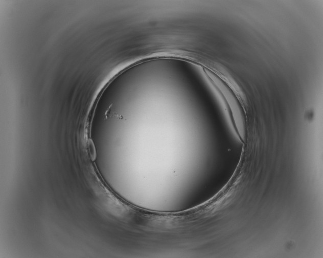 X0000097001292200802151406