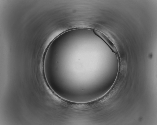 X0000097001293200802151406