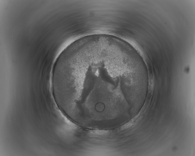 X0000097001294200802151406