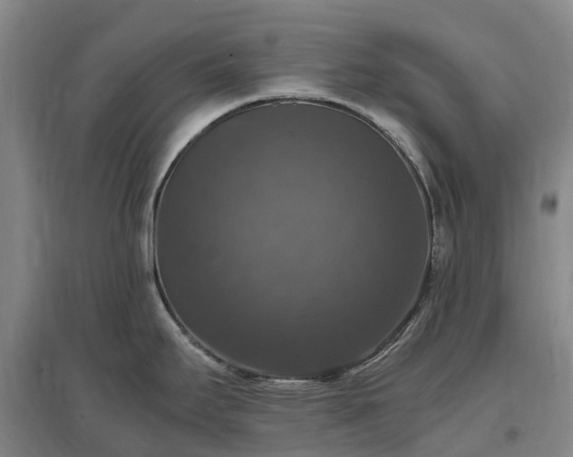 X0000097001295200802151406