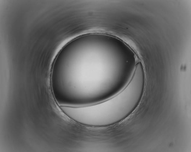 X0000097001296200802151406