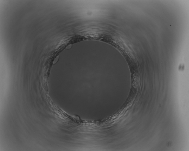 X0000097001297200802151405