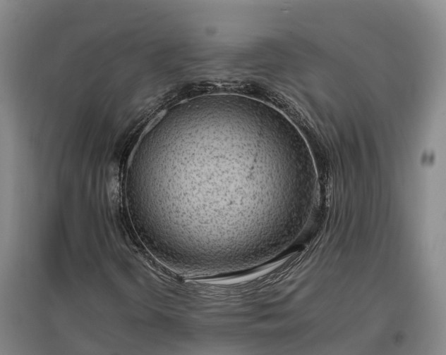 X0000097001298200802151405