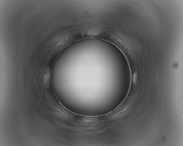 X0000097001299200802151405