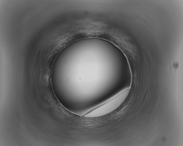 X0000097001300200802151405