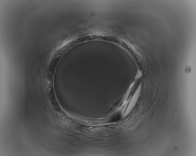 X0000097001303200802151405