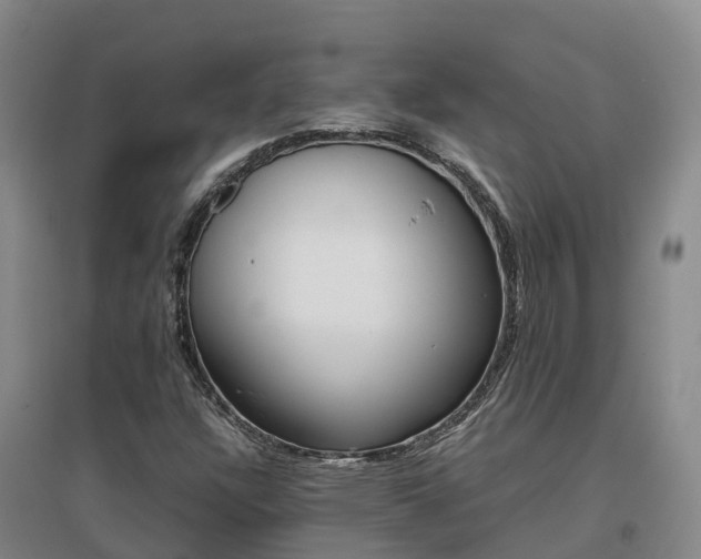 X0000097001304200802151405