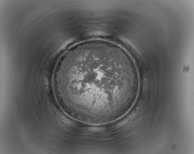 X0000097001305200802151405