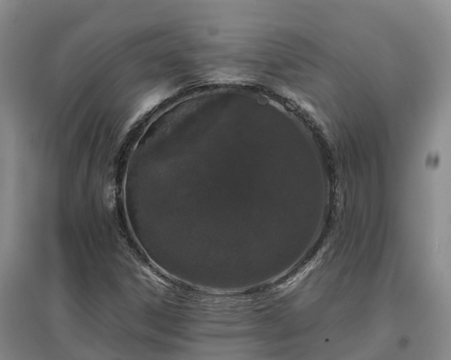 X0000097001306200802151405