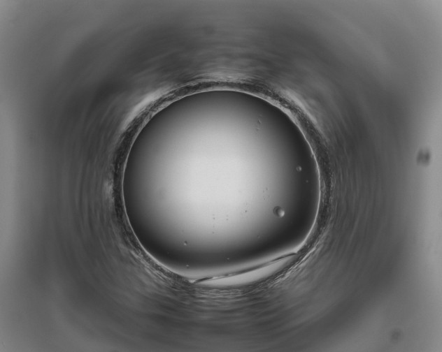 X0000097001307200802151405
